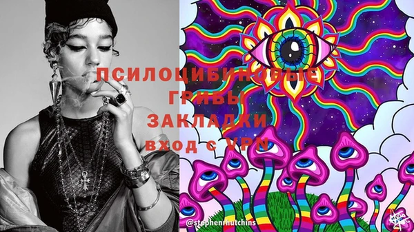 молекула духа Каменск-Шахтинский