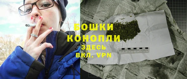 молекула духа Каменск-Шахтинский