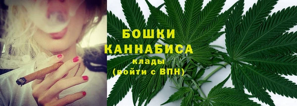 молекула духа Каменск-Шахтинский