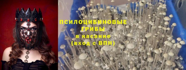 СК Каменка