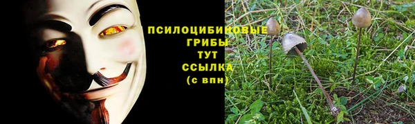 COCAINE Каменногорск